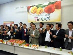 大啖台南芒果 日國會議員說讚