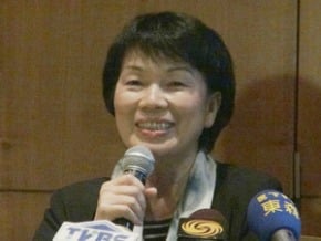 龍應台：積極推動文化外交