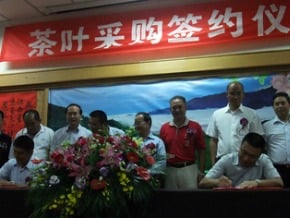 江西省長訪梅山 採購高山茶