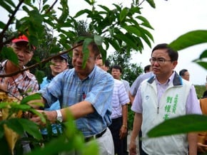 陳保基：台東農損達現金救助
