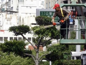 基本工資案 政院再整合