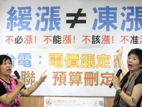 台聯：電價不凍漲 刪台電預算