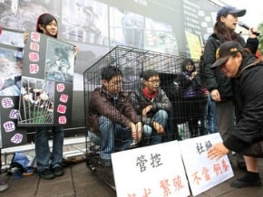 動保法再修 動保團體盼勿濫殺
