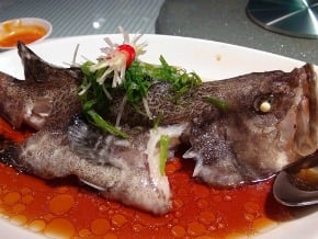 有身分證　台灣冷凍石斑登陸