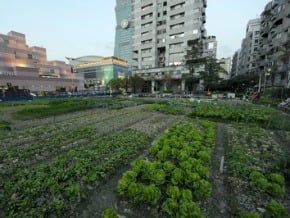 華固願與富邦開發信義D1地 富邦：考慮