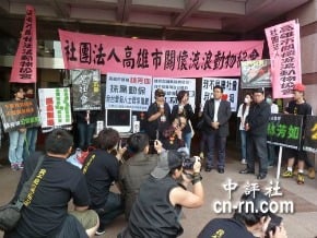 高雄綠議員辱罵動保人士　社團赴民進黨抗議