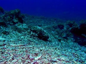 闖菲海洋保護區 大陸漁船擱淺
