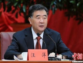 汪洋：部分遊客素質和修養不高 有損中國人形象