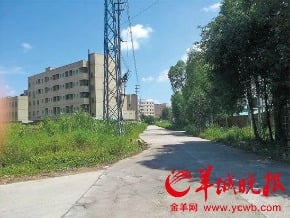 報復？廣東職業舉報人遭當街潑酸斷手