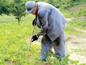 朝鮮釋放友好信號，允許美籍囚犯投寄家書