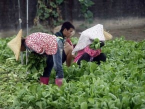 90萬假農民 月領7千津貼