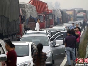 十一長假塞車無聊 散步遛狗下田偷瓜