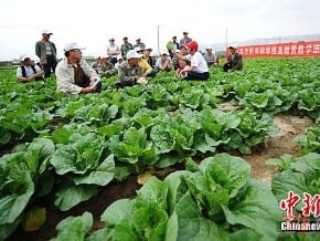 大陸農民工月均收入 1.3萬