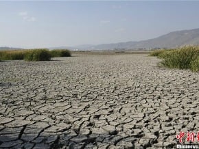 馬、星久旱不雨 多處旱象史上最嚴重