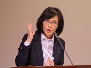 史亞平：沒有召回駐越代表 
