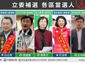 立委補選當選名單