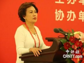 國民黨：董淑貞言論不代表黨立場<br />世界台灣商會道歉