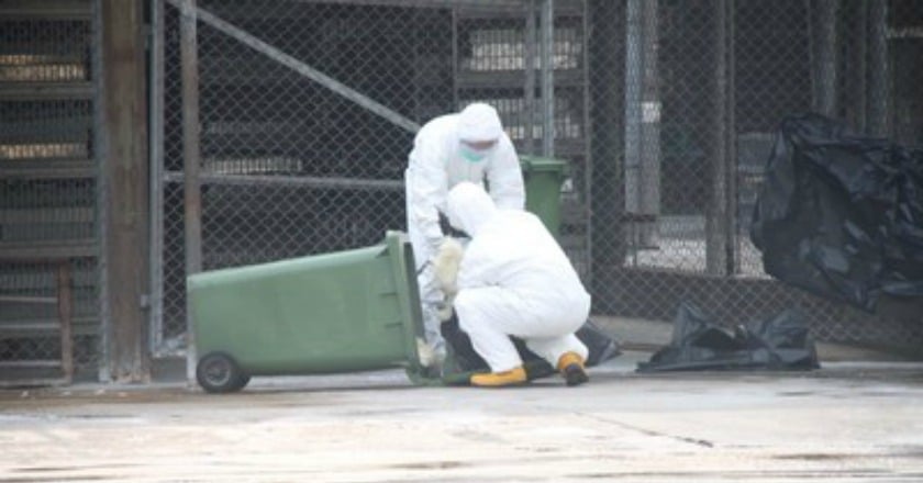 浙江傳H7N9病例 陸委會列黃色旅遊警示