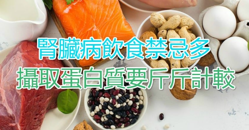 腎臟病飲食禁忌多　攝取蛋白質要斤斤計較