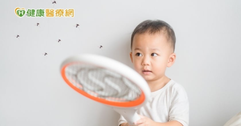 登革熱疫情延燒！捕蚊燈、電蚊拍有用嗎？　專家曝「這樣做」才有效