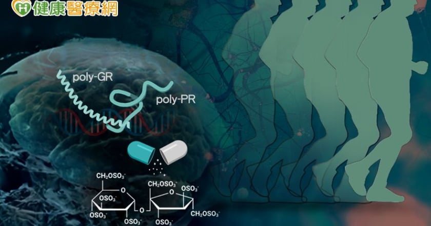 漸凍症治療重大發現！ 中研院成功以「硫酸雙醣分子」減緩神經元退