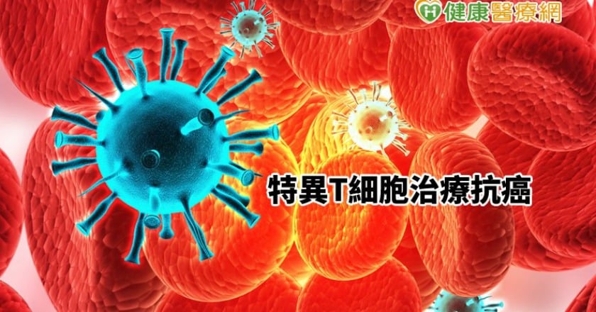破解嚴重過敏謎團　開啟特異 T 細胞治療抗癌