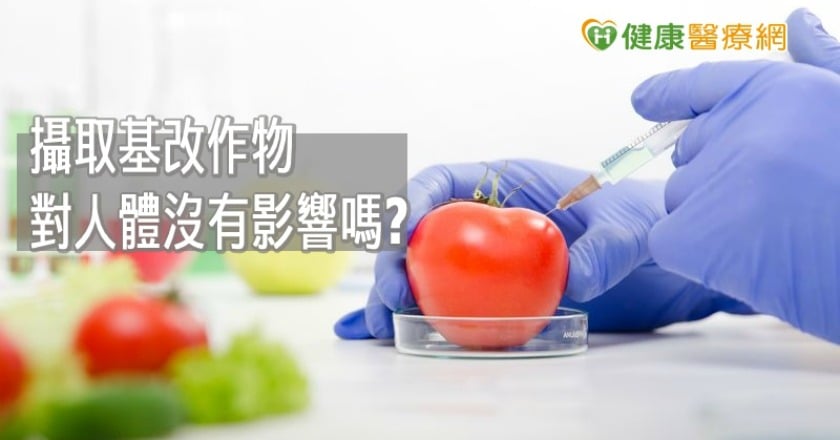 基改食品對身體沒影響？　食藥署這樣說明