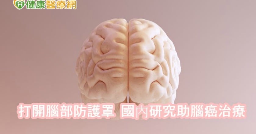 打開腦部防護罩 國內研究助腦癌治療