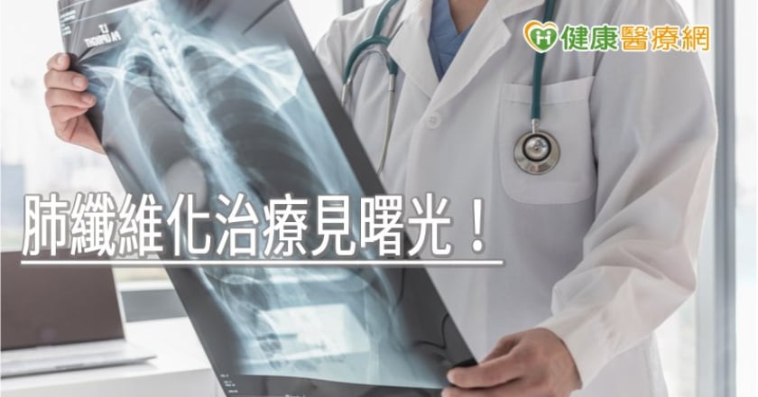 肺纖維化治療見曙光！　內質網蛋白扮演重要角色