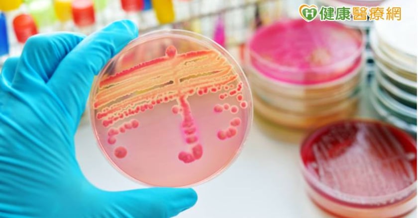 敗血症致死率高達3成! 「智抗菌」助預測感染並快檢菌種