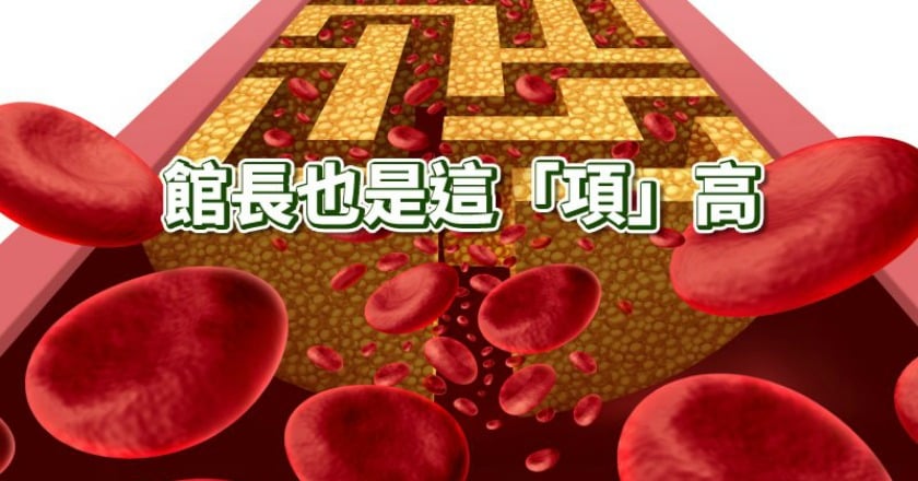 血脂異常無症狀 國健署提供這種好康