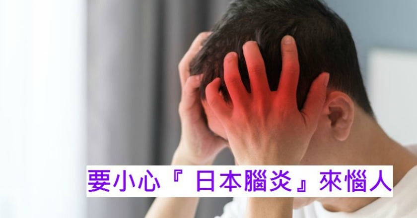 日本腦炎夏日來襲　最佳預防「接種疫苗」