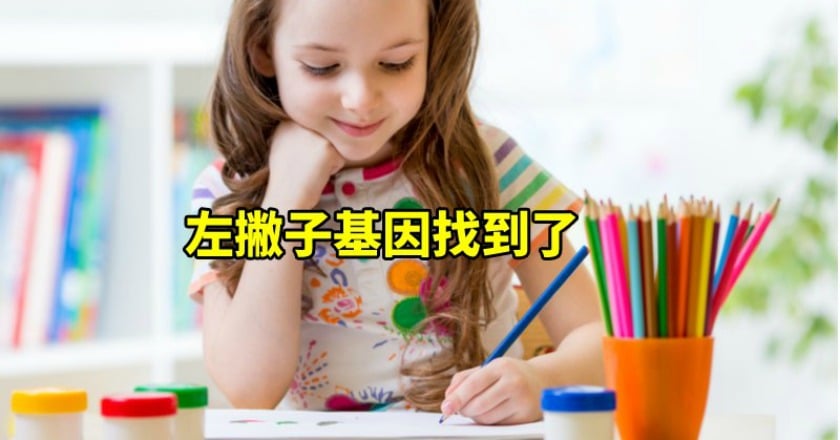 別再說左撇子是厄運 左撇子基因找到了