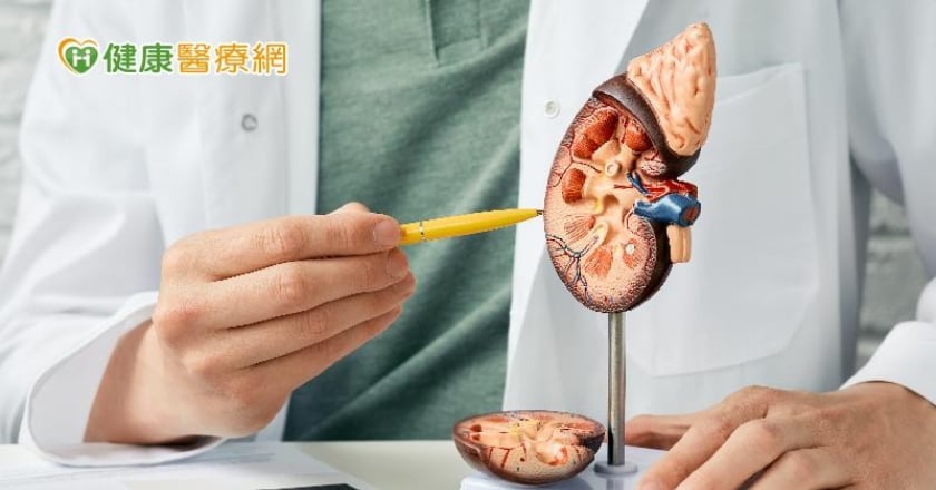 「活體捐腎」捐贈者只剩1顆腎會有哪些風險? 1300例個案分析研究結果曝