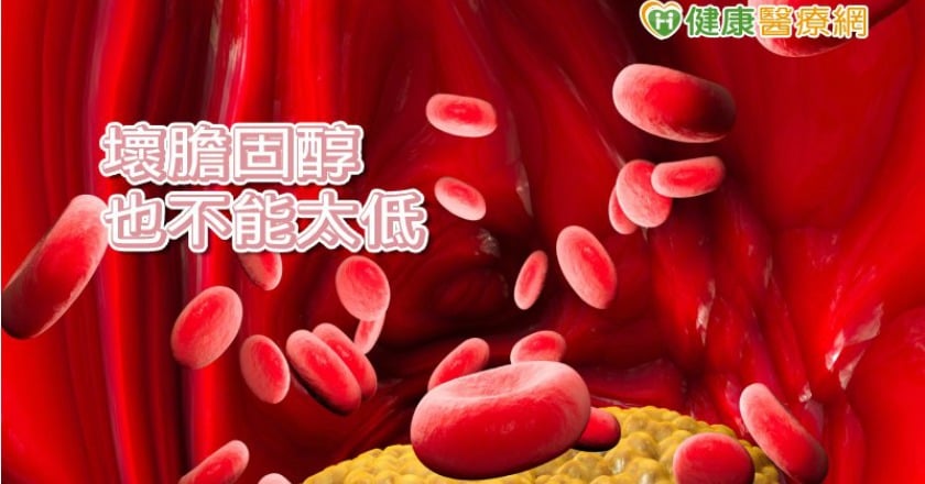 壞膽固醇越低越好？　研究：增出血性中風風險