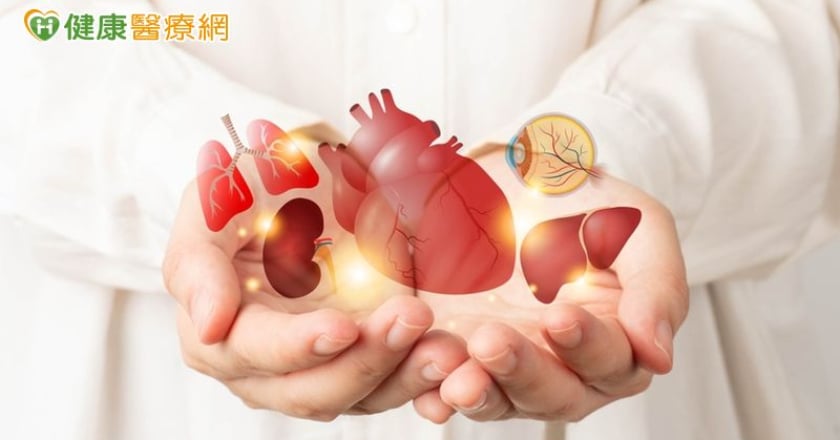 癌友往生後能器捐嗎？醫師破解迷思與生前預立關鍵