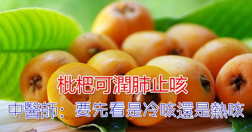 枇杷可潤肺止咳　中醫師：要先看是冷咳還是熱咳