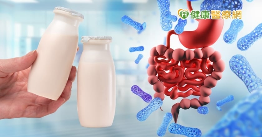 益生菌不等於乳酸菌　益生菌的15個重要觀念