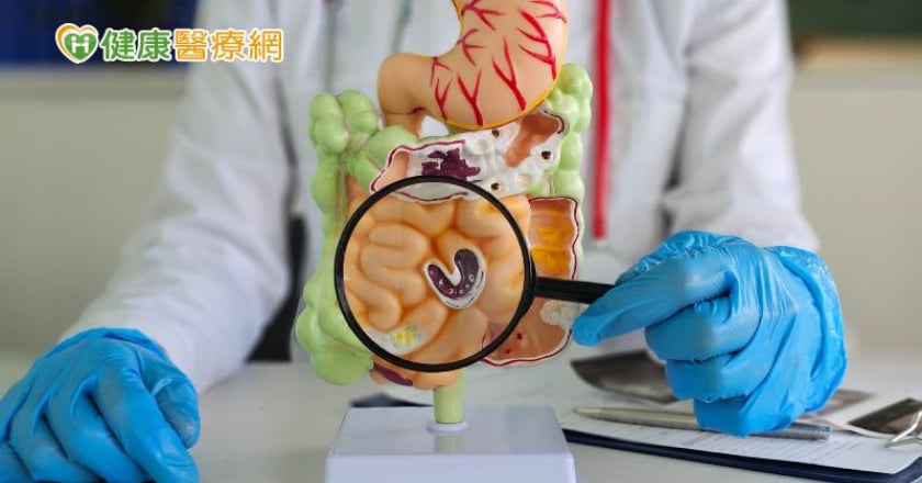 3原因可能使腸道壞菌增生 醫師教你自我檢測腸道健康！