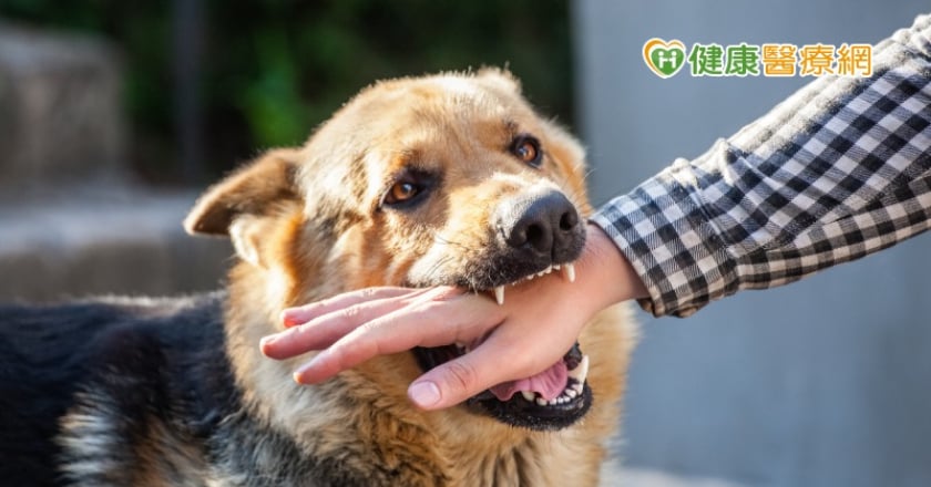 被狗咬到怎麼辦？　你該擔心的是破傷風而非狂犬病