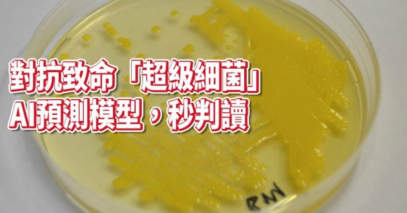 對抗致命「超級細菌」 AI預測模型秒判讀
