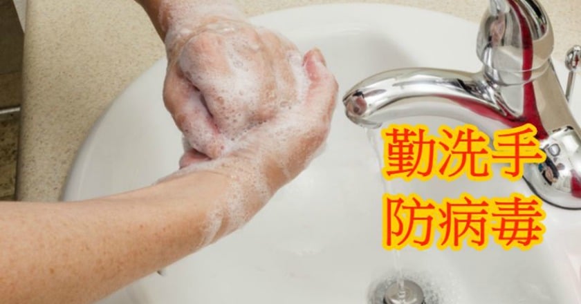 腸胃炎就是諾羅病毒? 醫師說分明