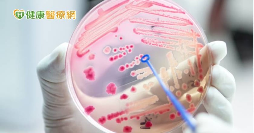 濫用抗生素助長超級細菌! 中正大學研發「抗菌敷料」救命