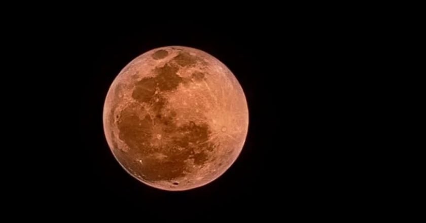 夢幻「草莓滿月」今夜登場 抬頭就能看錯過再等18年